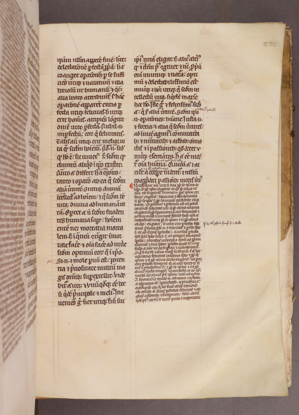 Folio 230 recto